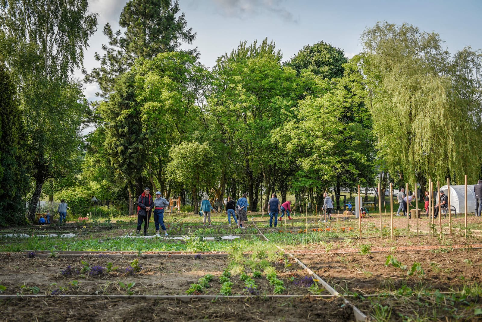 Wiosenna panorama ogrodu, widok na część północną. Autor zdjęcia: Piotr Olejniczak