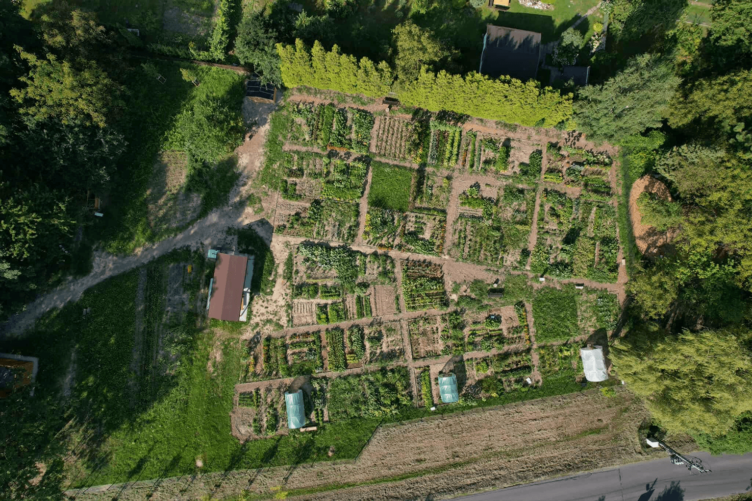 Ogród. Autor zdjęcia: Maciej Warcholak