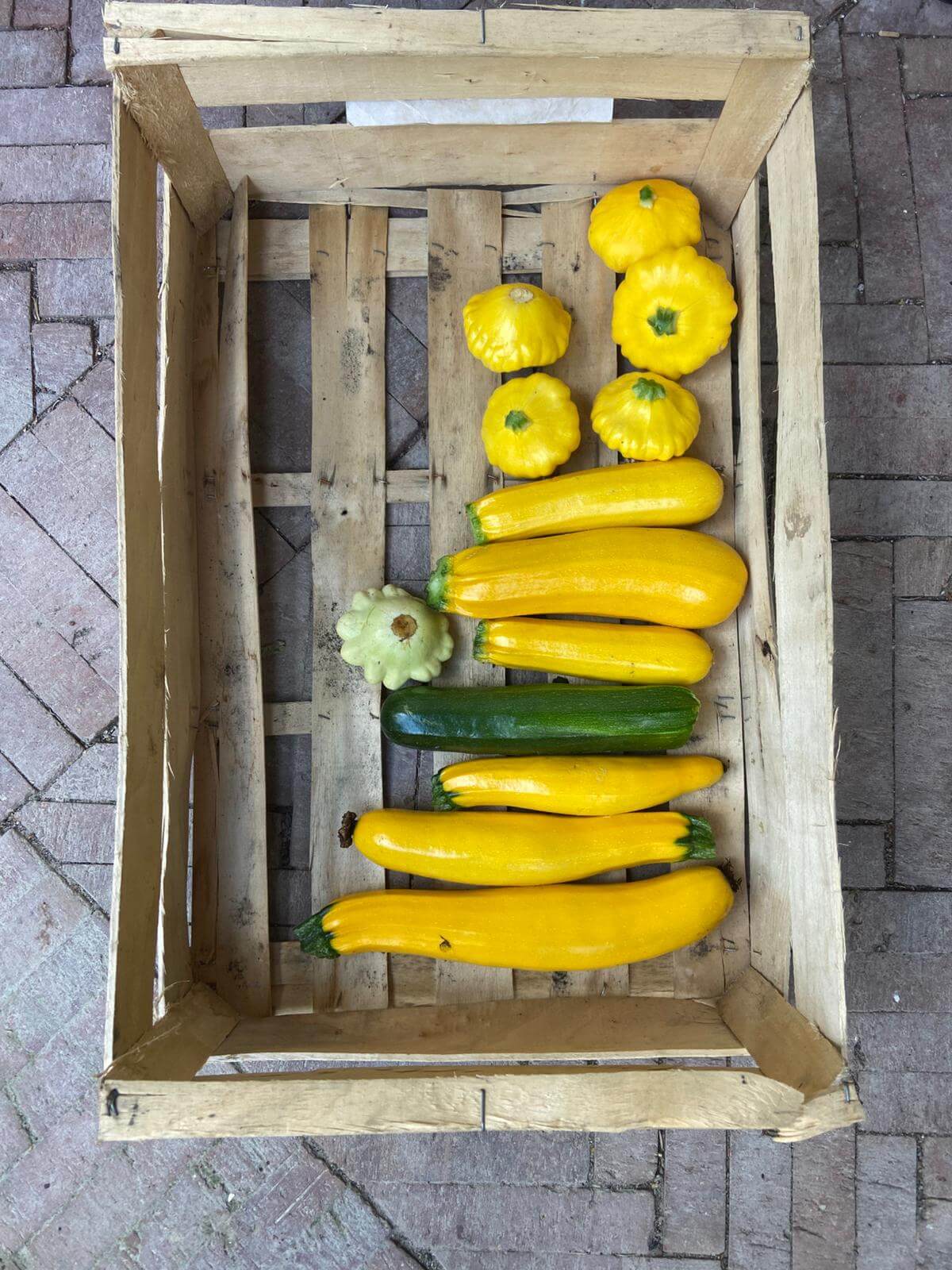 Patisony i bakłażany.